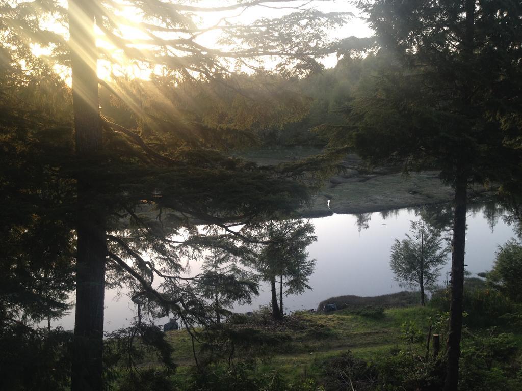 Hyphocus Inn Ucluelet Oda fotoğraf