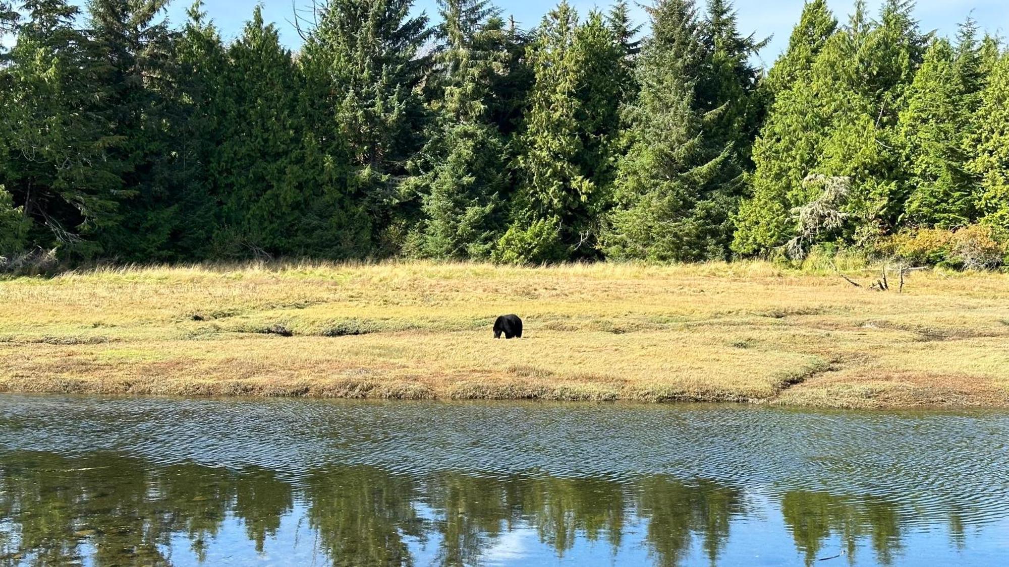 Hyphocus Inn Ucluelet Dış mekan fotoğraf